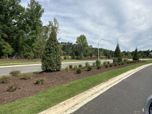 Streetscape