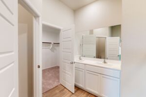 Owner's Bathroom