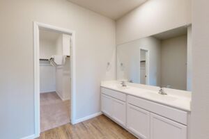 Owner's Bathroom