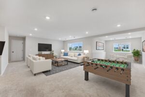 Lower-Level Recreation Room