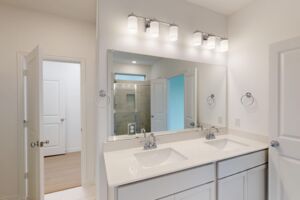 Owner's Bathroom