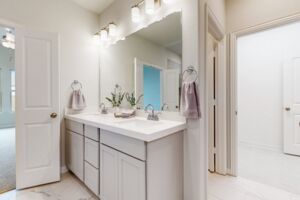 Owner's Bathroom