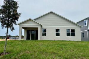 Back Exterior