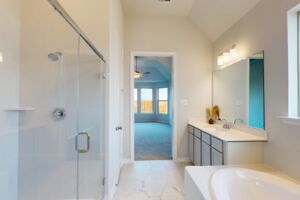 Owner's Bathroom