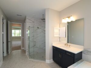 Owner's Bathroom