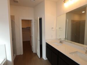 Owner's Bathroom