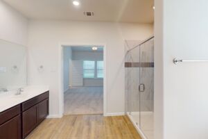 Owner's Bathroom