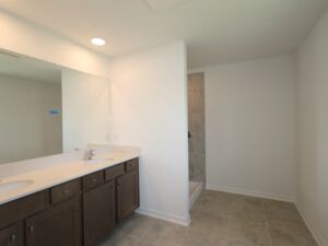Owner's Bathroom