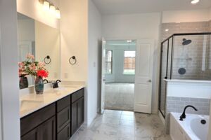 Owner's bathroom