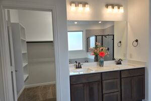 Owner's bathroom