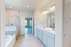 Owner's Bathroom