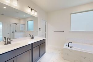 Owner's Bathroom