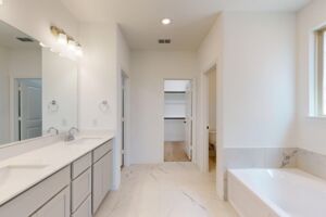 Owner's Bathroom