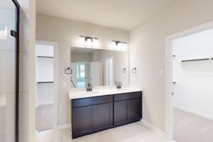 Owner's Bathroom