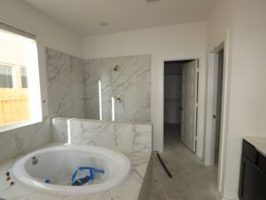 Owner's Bathroom