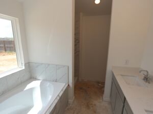 Owner's Bathroom