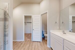 Owner's Bathroom