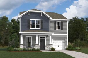 Acacia Elevation C