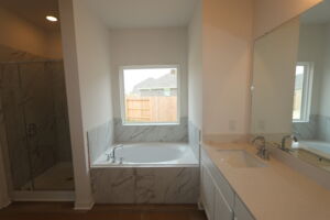 Owner's Bathroom