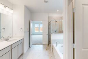 Owner's Bathroom
