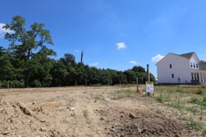 Homesite