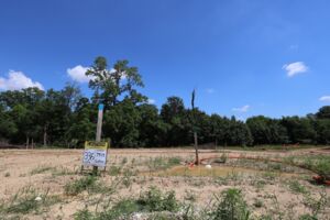 Homesite