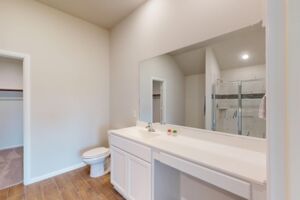 Owner's Bathroom