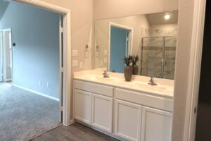 Owner's Bathroom