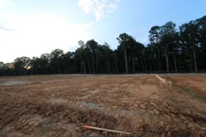 Homesite