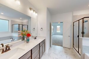 Owner's Bathroom