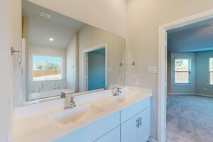 Owner's Bathroom