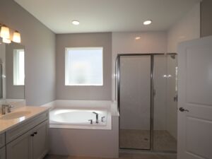 Owner's Bathroom