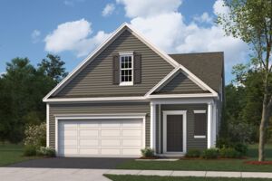 Oxford Elevation A