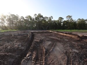 Homesite