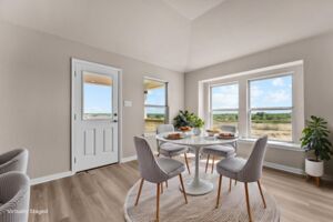 Virtual Representation