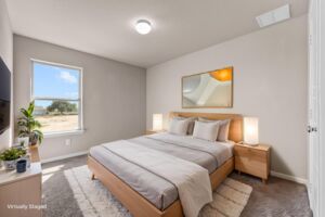 Virtual Representation