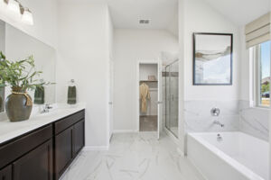 Owner's Bathroom