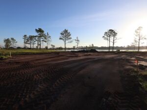 Homesite