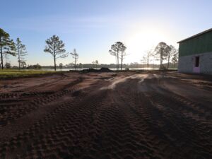Homesite