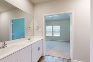 Owner's Bathroom