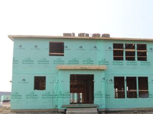 Back Exterior
