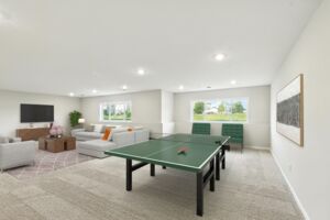 Lower Level Recreation Room