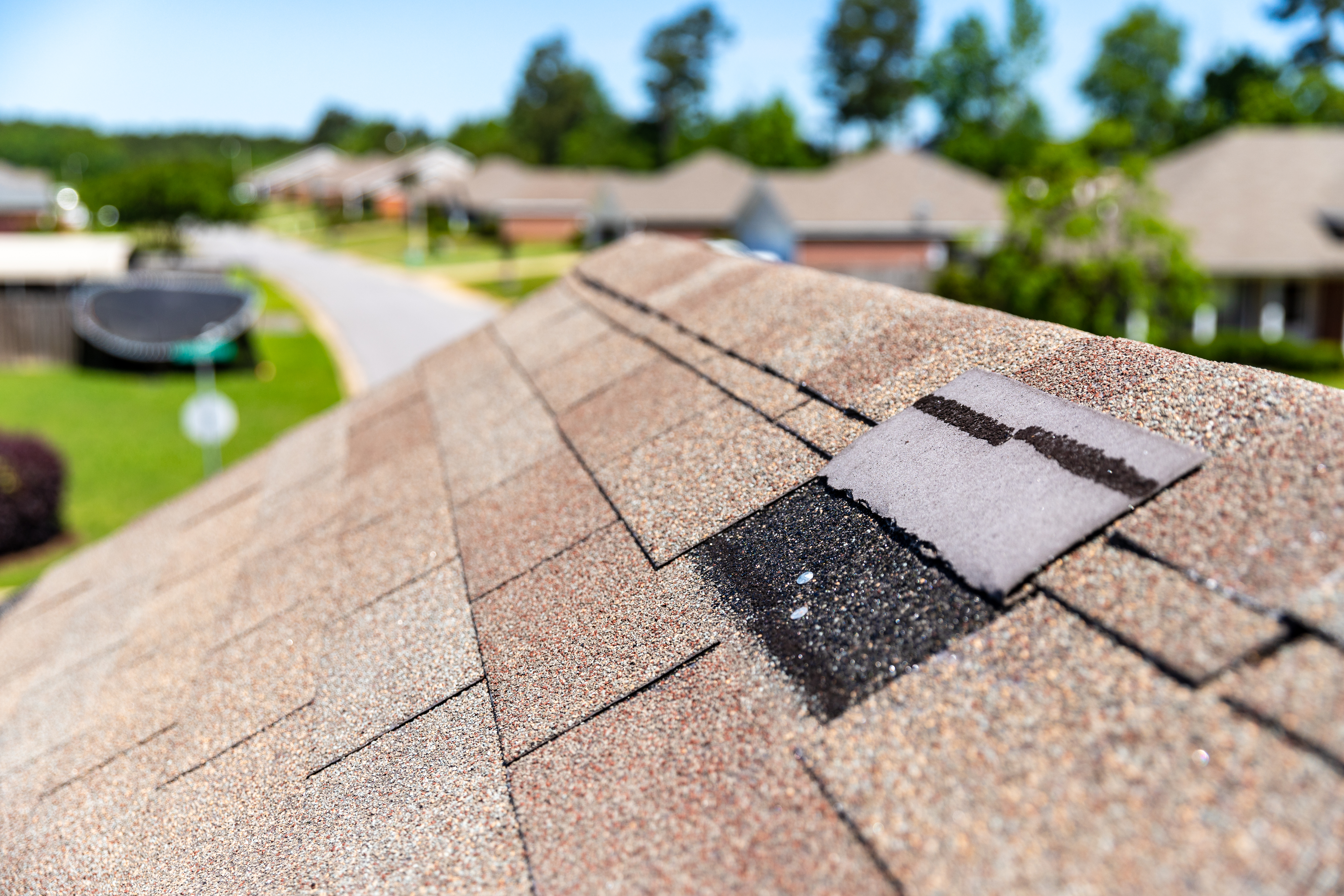 Roof Shingle Storm Damage