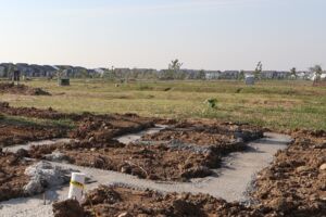 Homesite