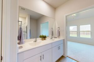 Owner's Bathroom