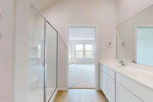 Owner's Bathroom