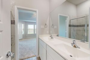 Owner's Bathroom