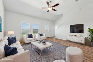 Virtual Representation