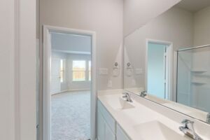 Owner's Bathroom
