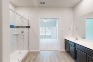 Owner's Bathroom